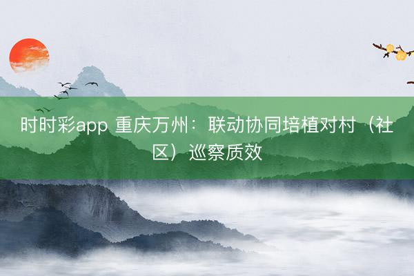 时时彩app 重庆万州：联动协同培植对村（社区）巡察质效