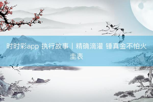 时时彩app 执行故事丨精确滴灌 锤真金不怕火圭表