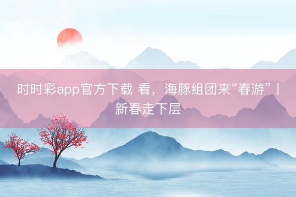 时时彩app官方下载 看，海豚组团来“春游”丨新春走下层